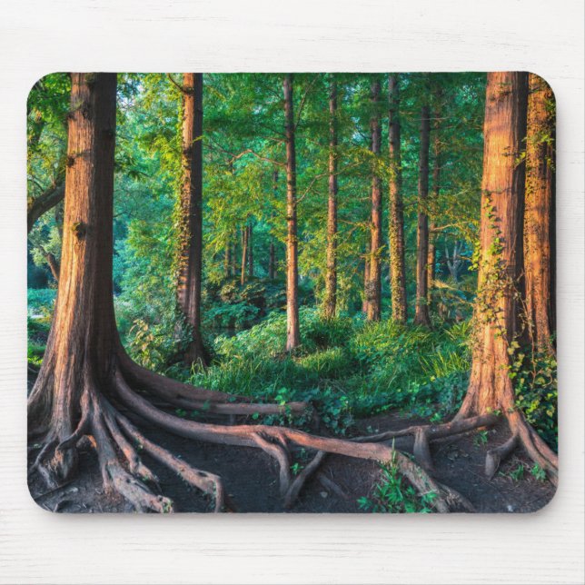 Wald im Sommer Mousepad (Vorne)