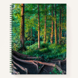 Wald im Sommer Notizbuch