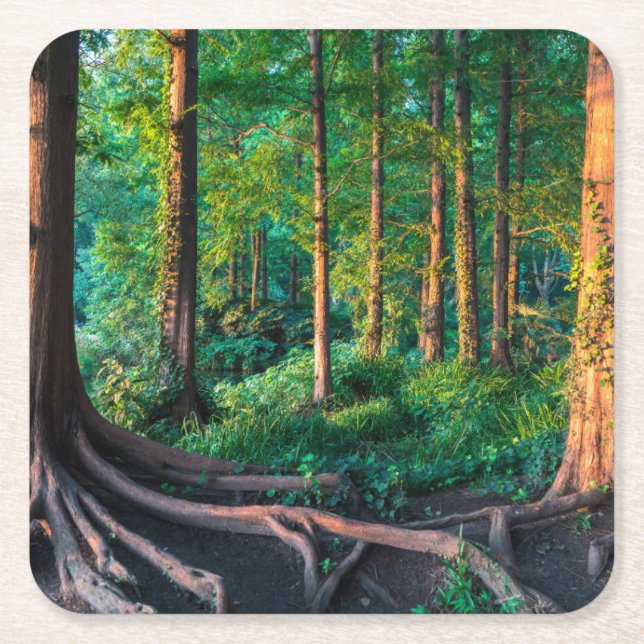 Wald im Sommer Rechteckiger Pappuntersetzer (Vorderseite)