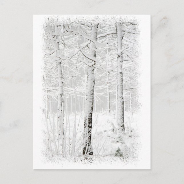 Wald im Winter Postkarte (Vorderseite)
