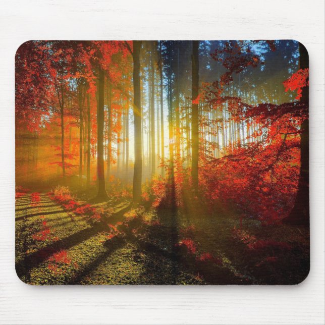 Wald in der Herbst-Mausunterlage Mousepad (Vorne)