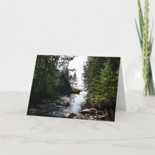 Wald in der Nähe von Hunterstrand im Acadia Nation Karte