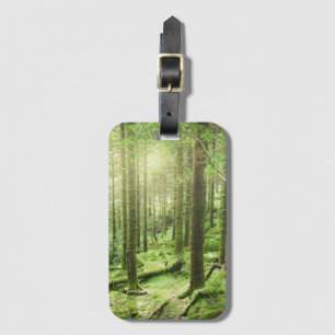 Wald in Nationalpark   Kerry, Irland Killarneys Gepäckanhänger