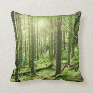 Wald in Nationalpark   Kerry, Irland Killarneys Kissen