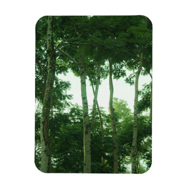 Wald Magnet (Vertikal)