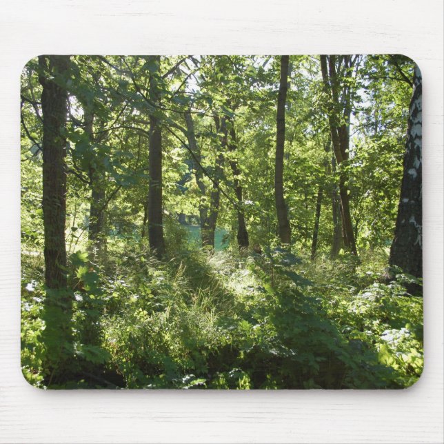 Wald Mousepad (Vorne)