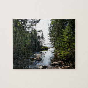 Wald nahe Hunters Beach im Acadia National Park