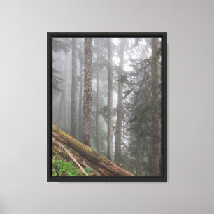 Wald Natur Leinwanddruck