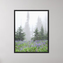 Wald Natur
