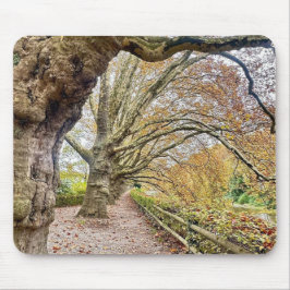 Wald Pathway Mouse Mat Mousepad