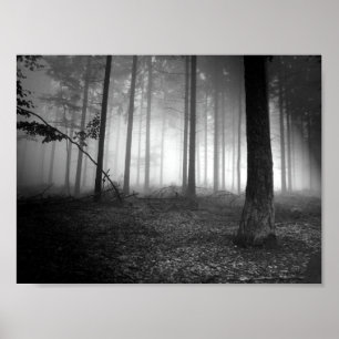 Wald Poster