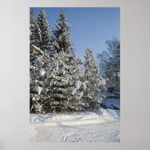 Wald Poster