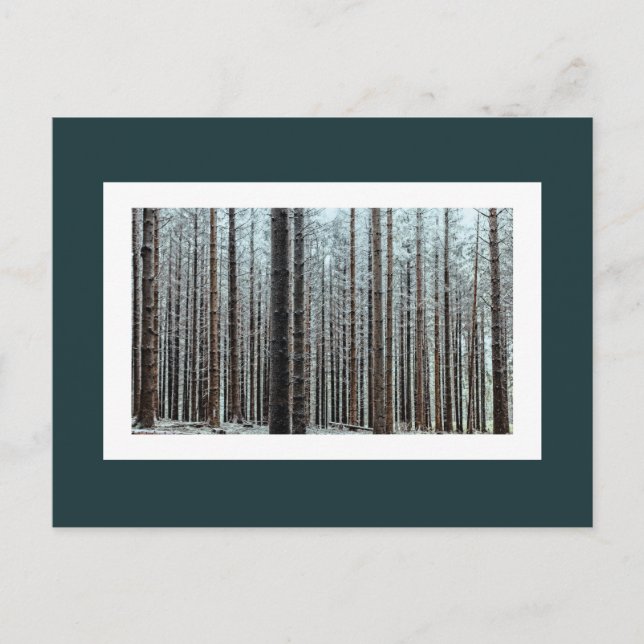 Wald Postkarte (Vorderseite)