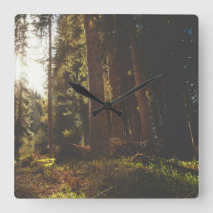 Wald Quadratische Wanduhr