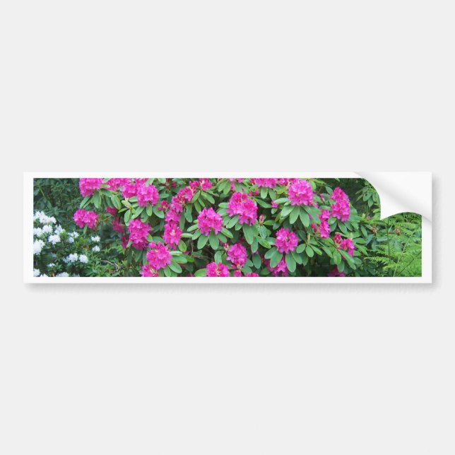 Wald Rhododendron Autoaufkleber (Vorne)