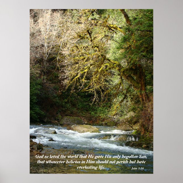 Wald & Rushing River John 3:16 Print Poster (Vorne)