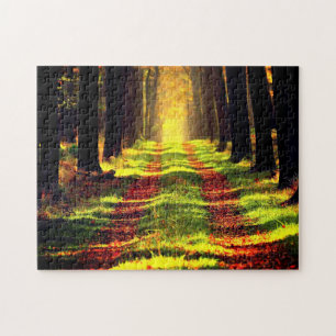 Wald - Straße - schön