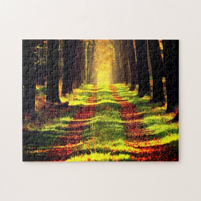 Wald - Straße - schön (Horizontal)