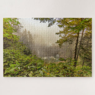 Wald- und Ozeanlandschaft