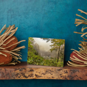 Wald- und Ozeanlandschaft Fotoplatte