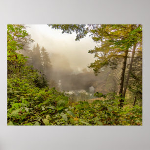 Wald- und Ozeanlandschaft Poster