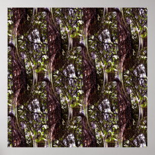 Wald von Dogwoods... Poster