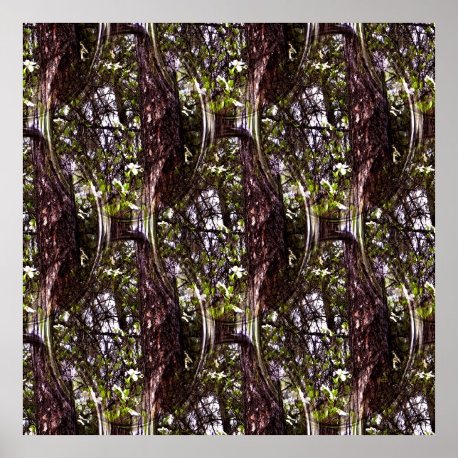 Wald von Dogwoods... Poster (Vorne)