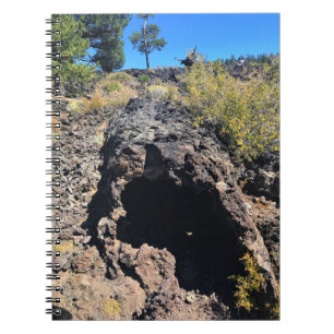 Wald von Lava, Oregon Notizblock