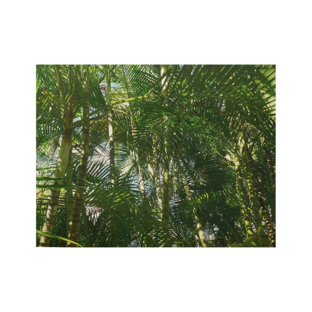 Wald von Palmen Bäumen tropischen Grün Holzposter (Vorderseite)