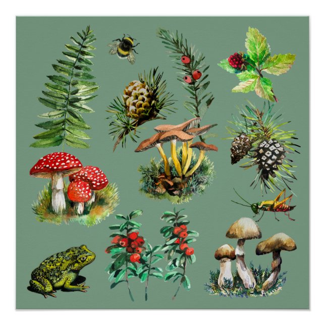 Wald, wilde Pilze Poster (Vorderseite)