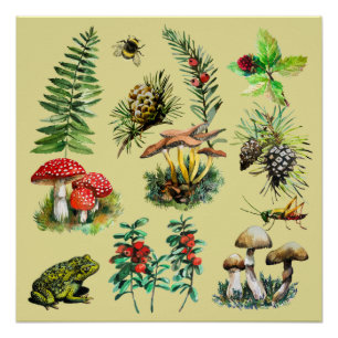 Wald, wilde Pilze Poster