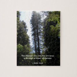 Wald Wilderness Redwood