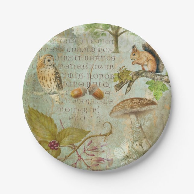 Wald Wildtierquirrel, Owl, Autumnal Pappteller (Vorderseite)