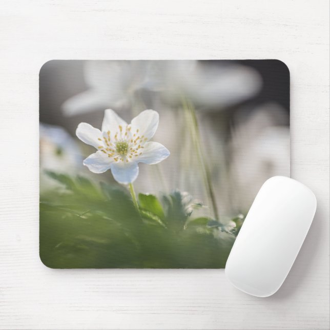Waldanemone Nature Foto Mousepad (Mit Mouse)