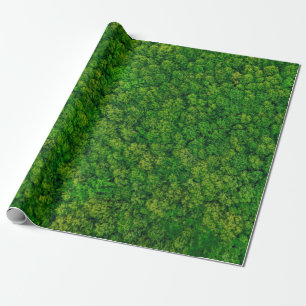 Waldansicht von oben, Luftansicht mit Kopie Geschenkpapier