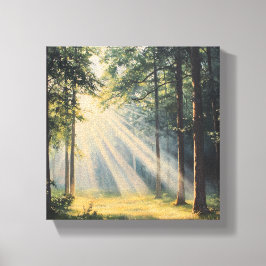 Waldbaden in Sonnenlicht Leinwanddruck