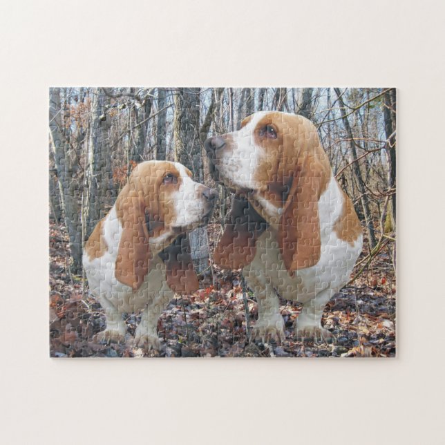 WaldBasset (Horizontal)
