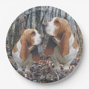 WaldBasset Pappteller