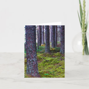 Waldbaum Grußkarte Karte