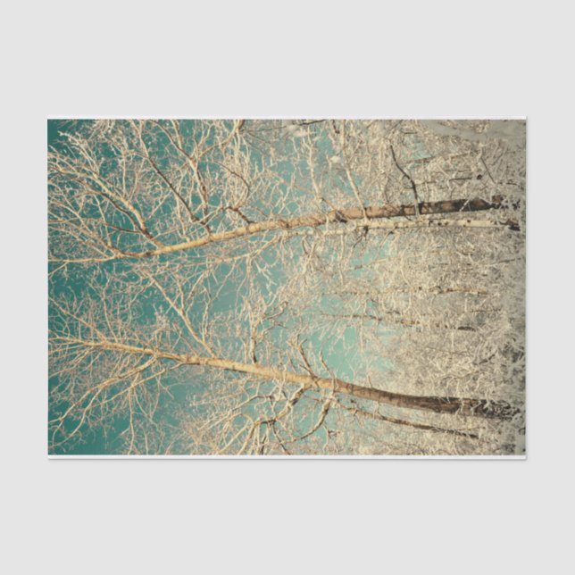 Waldbäume Aquamariner Himmel Winterwald Seidenpapier (Vorderseite)