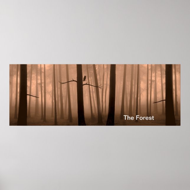 Waldbild für Poster (Vorne)