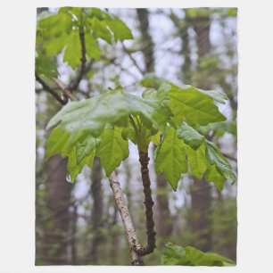Waldblätter nach Regen – Wilde Natur Rumänien Fleecedecke