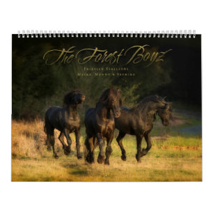 WaldBoyz Kalender 2016