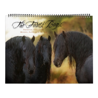 WaldBoyz Kalender 2017