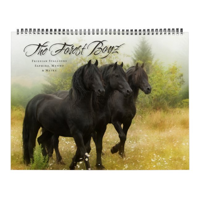 WaldBoyz Kalender 2018 (Titelbild)