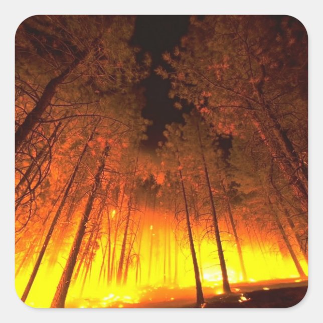 Waldbrand Quadratischer Aufkleber (Vorderseite)