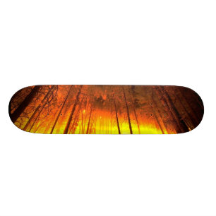 Waldbrand Skateboard