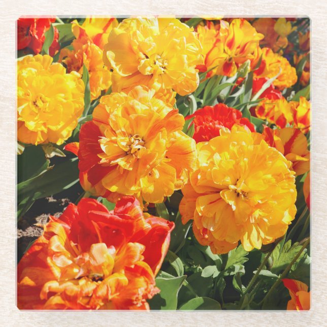 Waldbrände-Blume Glasuntersetzer (Vorderseite)