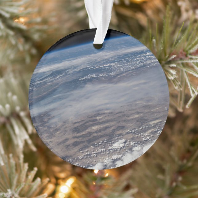 Waldbrände rund um den Yosemite Nationalpark. Ornament (Baum)