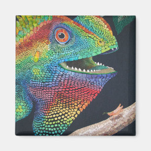 Walddrache Magnet